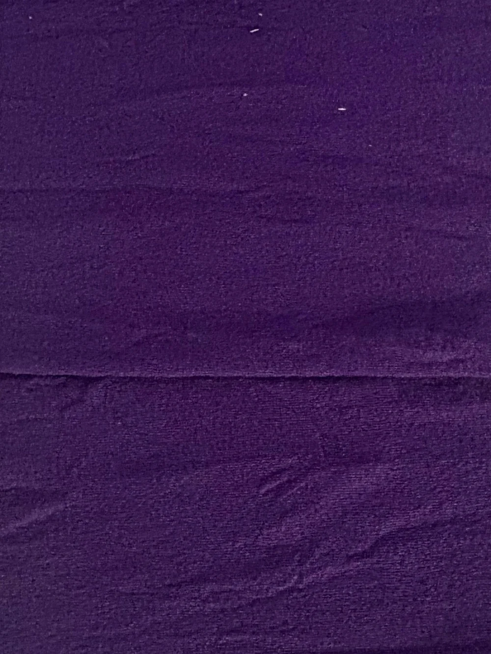 Ladona Opaque Pantyhose Queen Size Extra Wide with Panel Purple New